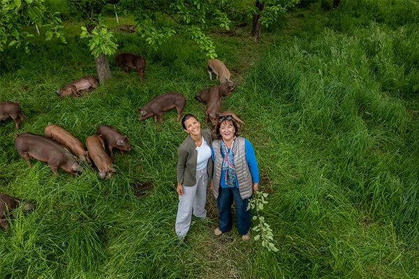 mutter_tochter Mutter mit Tochter auf der Wiese von oben